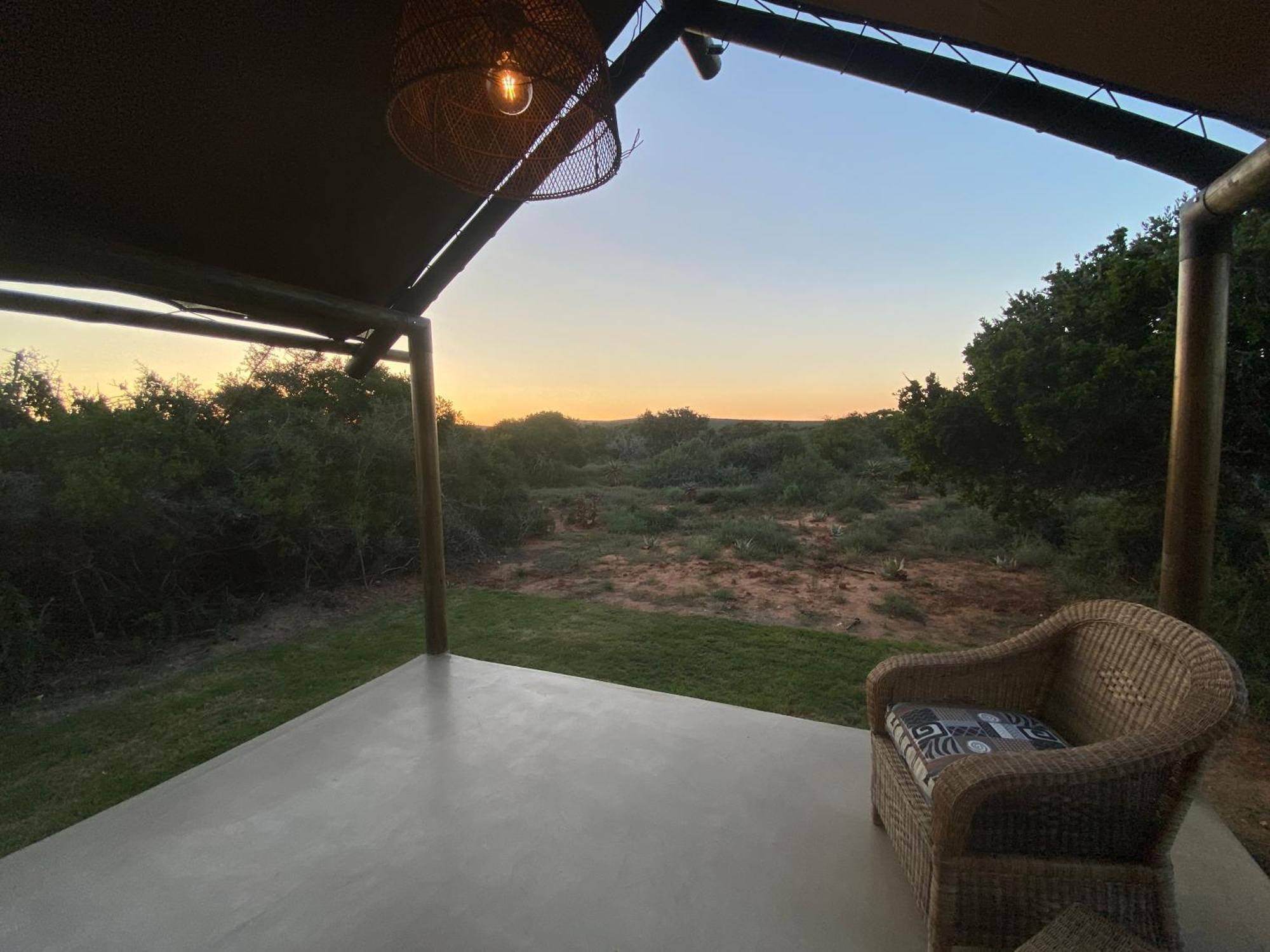 Charihandra Game Lodge อัดโด ภายนอก รูปภาพ